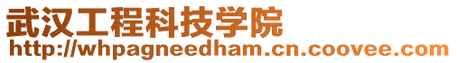 武漢工程科技學院