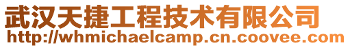 武漢天捷工程技術有限公司