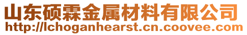 山東碩霖金屬材料有限公司
