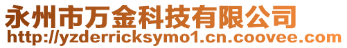 永州市萬金科技有限公司