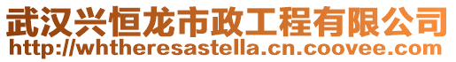武漢興恒龍市政工程有限公司