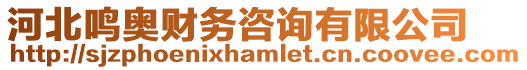 河北鳴奧財務咨詢有限公司
