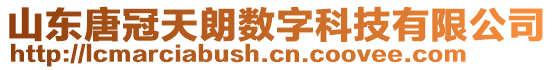 山東唐冠天朗數(shù)字科技有限公司