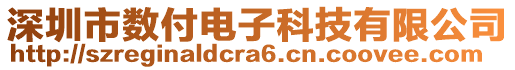 深圳市數(shù)付電子科技有限公司