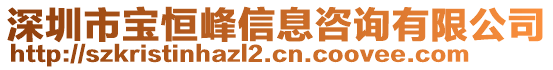 深圳市寶恒峰信息咨詢有限公司