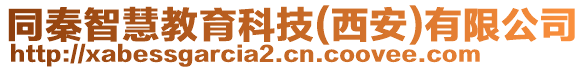 同秦智慧教育科技(西安)有限公司