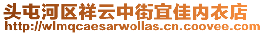 頭屯河區祥云中街宜佳內衣店