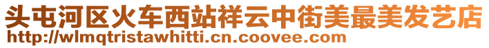 頭屯河區火車西站祥云中街美最美發藝店