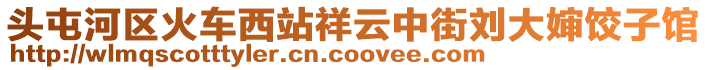 頭屯河區(qū)火車西站祥云中街劉大嬸餃子館