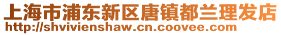 上海市浦東新區唐鎮都蘭理發店