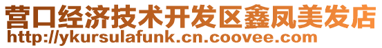 營口經濟技術開發區鑫鳳美發店