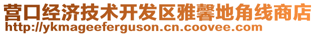 營口經(jīng)濟技術(shù)開發(fā)區(qū)雅馨地角線商店