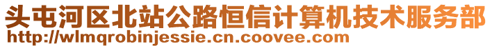 頭屯河區北站公路恒信計算機技術服務部