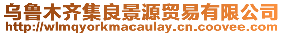 烏魯木齊集良景源貿(mào)易有限公司
