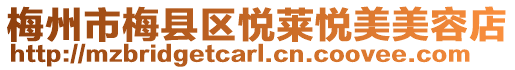 梅州市梅縣區(qū)悅?cè)R悅美美容店