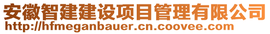 安徽智建建設項目管理有限公司