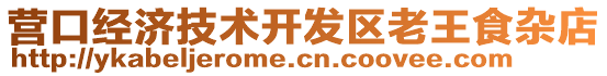 營口經(jīng)濟技術(shù)開發(fā)區(qū)老王食雜店