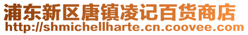 浦東新區唐鎮凌記百貨商店