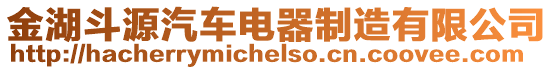 金湖斗源汽車電器制造有限公司