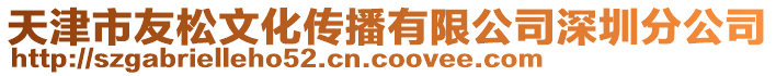 天津市友松文化傳播有限公司深圳分公司