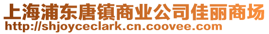 上海浦東唐鎮商業公司佳麗商場