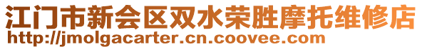 江門市新會區(qū)雙水榮勝摩托維修店