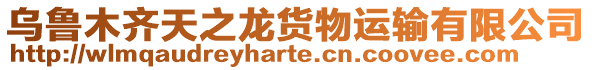 烏魯木齊天之龍貨物運輸有限公司