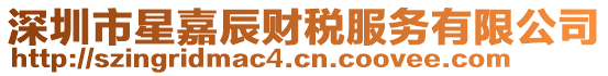 深圳市星嘉辰財稅服務有限公司