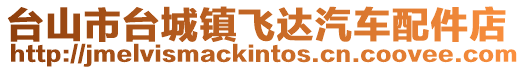 臺山市臺城鎮飛達汽車配件店