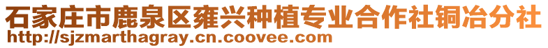 石家莊市鹿泉區雍興種植專業合作社銅冶分社