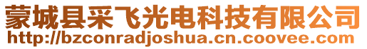 蒙城县采飞光电科技有限公司