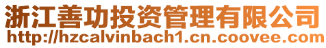 浙江善功投資管理有限公司