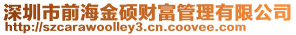 深圳市前海金碩財富管理有限公司