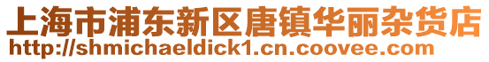 上海市浦東新區唐鎮華麗雜貨店