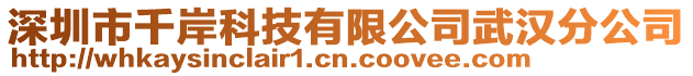 深圳市千岸科技有限公司武漢分公司