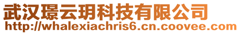 武漢璟云玥科技有限公司
