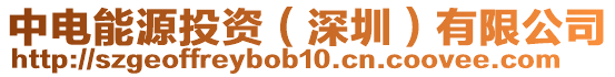 中電能源投資（深圳）有限公司