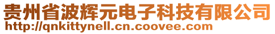 貴州省波輝元電子科技有限公司