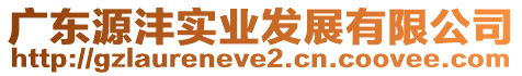 廣東源灃實(shí)業(yè)發(fā)展有限公司