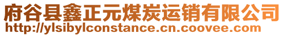 府谷縣鑫正元煤炭運(yùn)銷有限公司