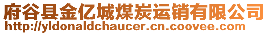 府谷縣金億城煤炭運銷有限公司