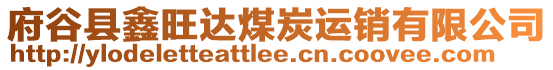 府谷縣鑫旺達煤炭運銷有限公司