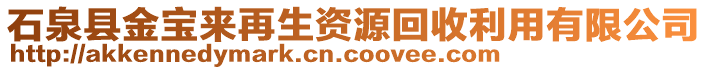 石泉縣金寶來再生資源回收利用有限公司