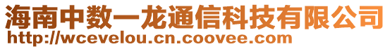 海南中數一龍通信科技有限公司