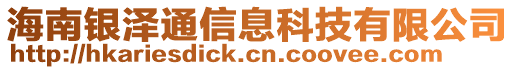 海南銀澤通信息科技有限公司