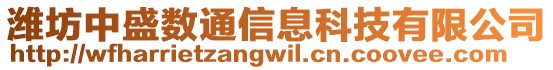 濰坊中盛數(shù)通信息科技有限公司