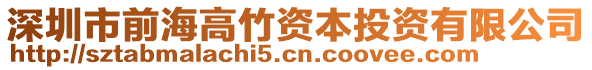 深圳市前海高竹資本投資有限公司