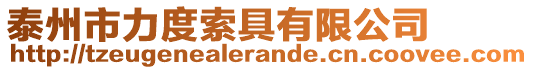 泰州市力度索具有限公司