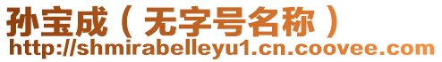 孫寶成（無字號名稱）