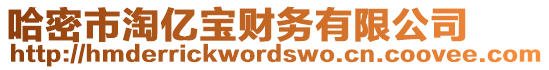 哈密市淘億寶財務有限公司